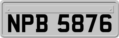 NPB5876