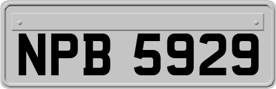 NPB5929