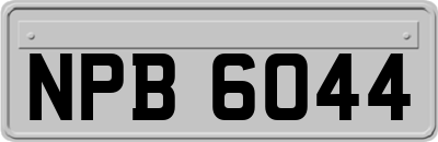 NPB6044