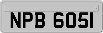 NPB6051