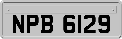 NPB6129