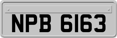 NPB6163