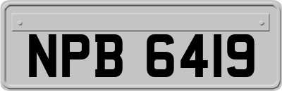 NPB6419