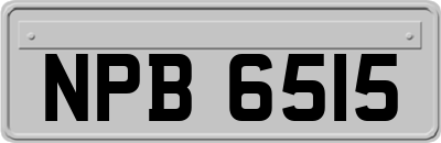NPB6515