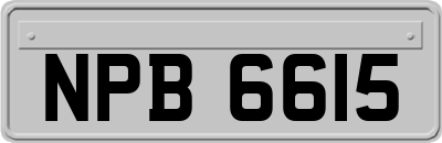 NPB6615