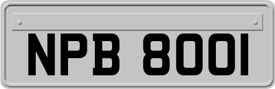 NPB8001