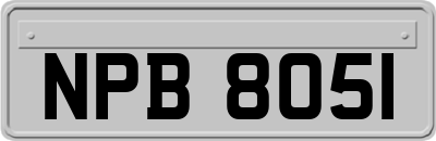 NPB8051