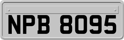 NPB8095