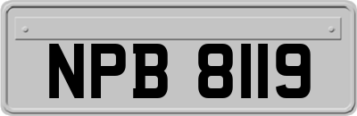 NPB8119