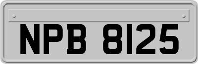 NPB8125