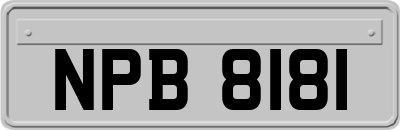 NPB8181