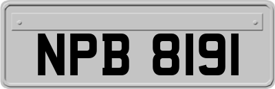 NPB8191