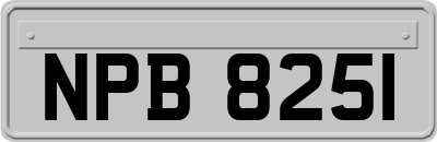 NPB8251