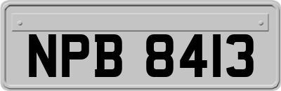 NPB8413