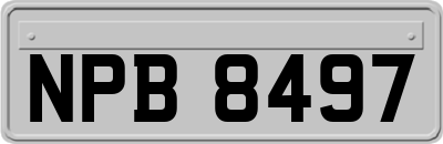 NPB8497