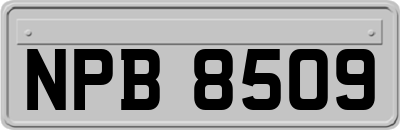 NPB8509