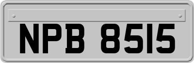 NPB8515