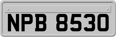 NPB8530