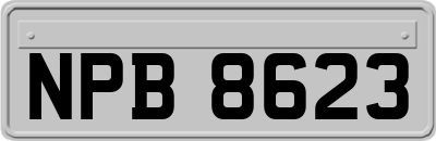 NPB8623