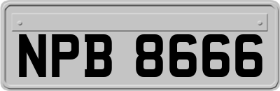 NPB8666