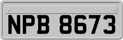 NPB8673