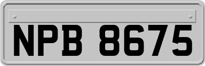 NPB8675