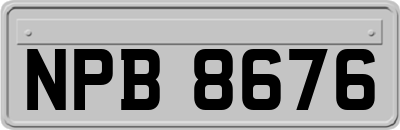 NPB8676