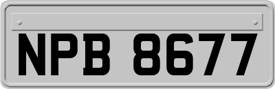 NPB8677