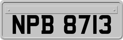 NPB8713