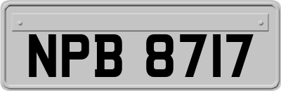 NPB8717