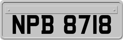 NPB8718