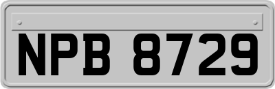 NPB8729