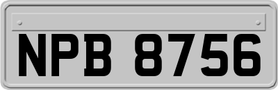 NPB8756