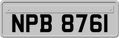 NPB8761