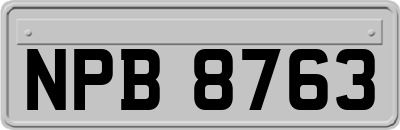 NPB8763