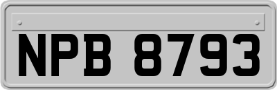 NPB8793