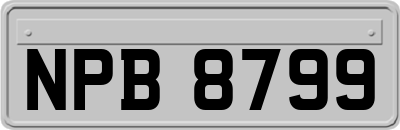 NPB8799