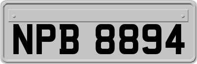 NPB8894