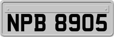 NPB8905