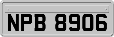 NPB8906