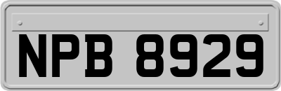 NPB8929