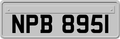 NPB8951