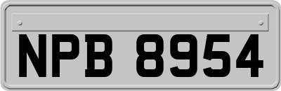 NPB8954