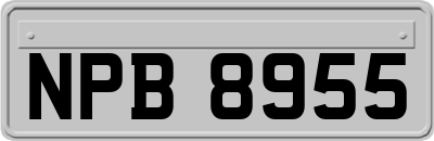 NPB8955