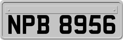NPB8956