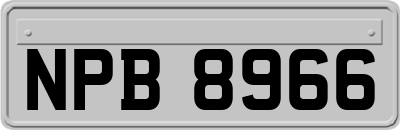 NPB8966