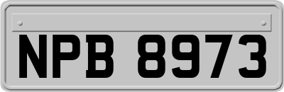 NPB8973