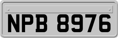 NPB8976