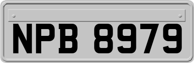 NPB8979