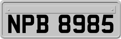 NPB8985